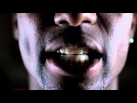 Video: Mr ShaoDow - BullSpit